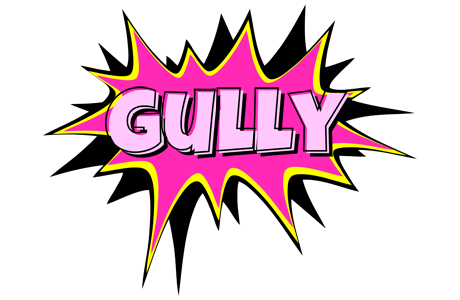 Gully badabing logo