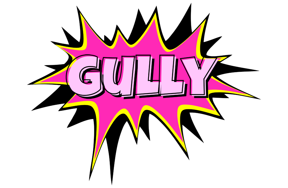 Gully badabing logo