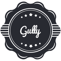 Gully badge logo