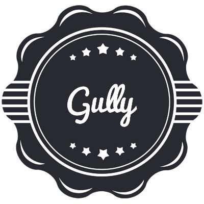 Gully badge logo