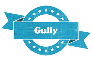 Gully balance logo