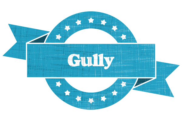 Gully balance logo
