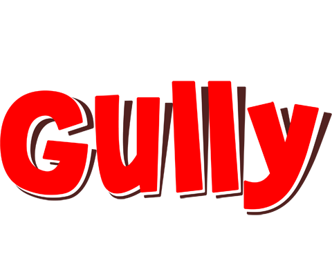 Gully basket logo