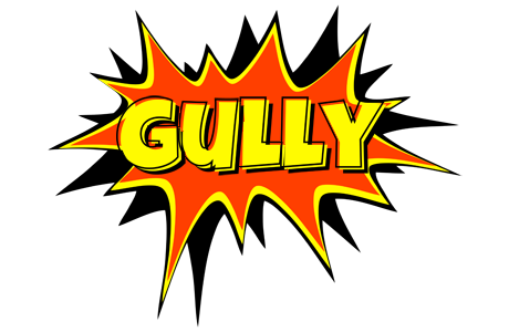 Gully bazinga logo
