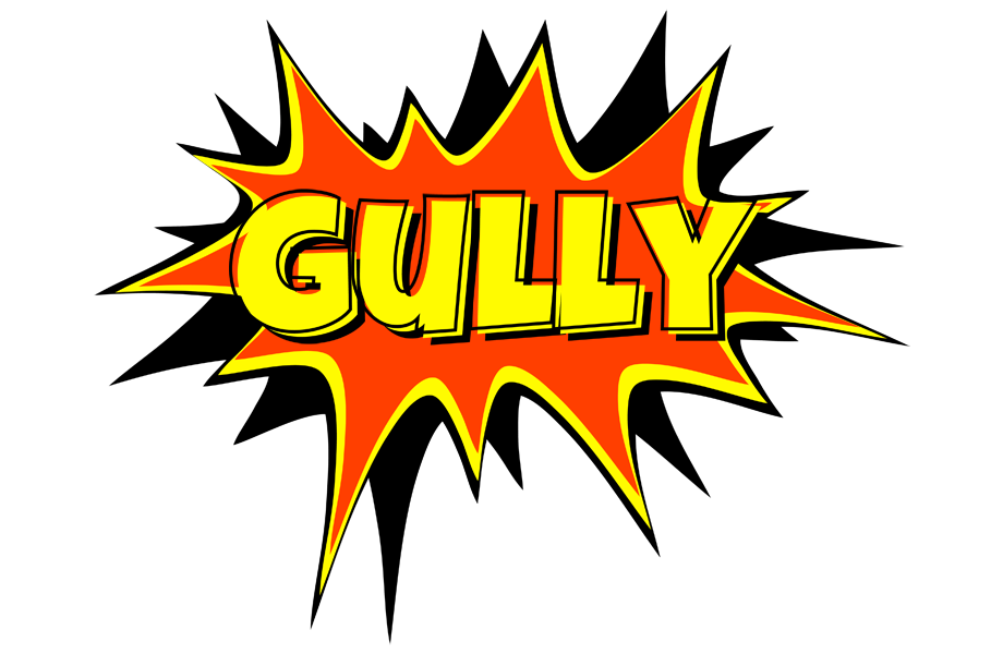Gully bazinga logo