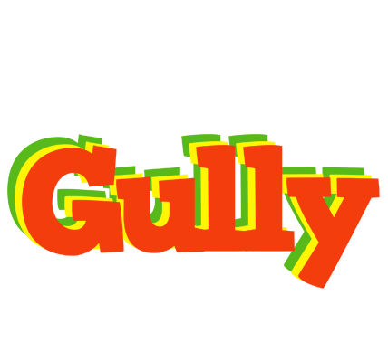 Gully bbq logo