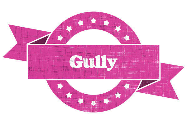 Gully beauty logo