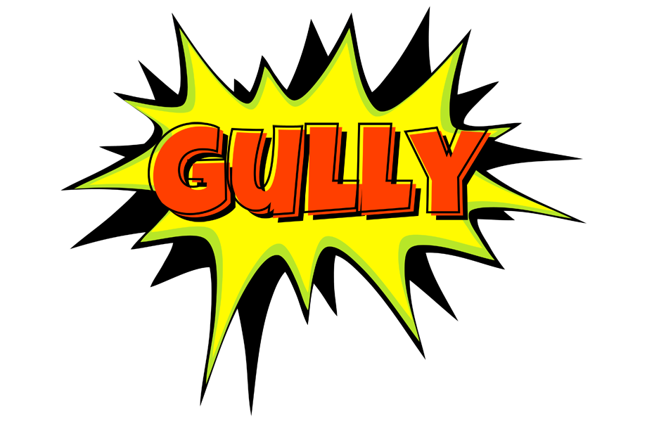 Gully bigfoot logo