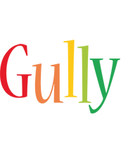 Gully birthday logo