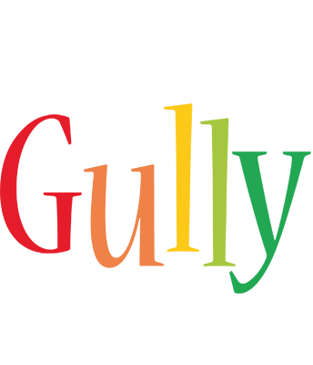 Gully birthday logo