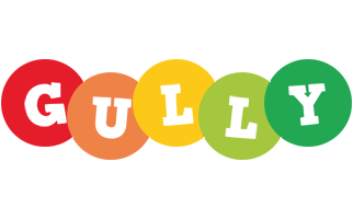 Gully boogie logo