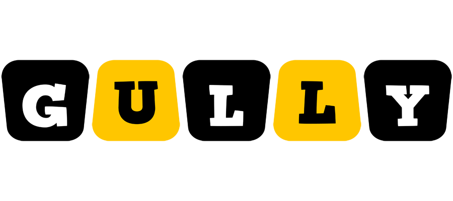 Gully boots logo
