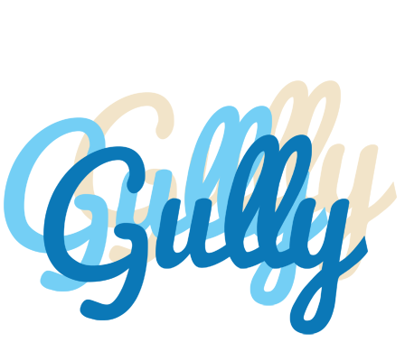 Gully breeze logo