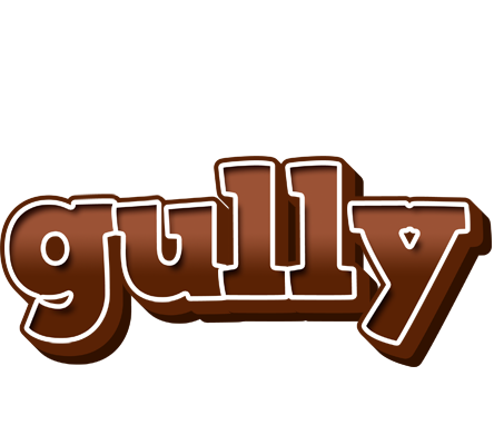 Gully brownie logo