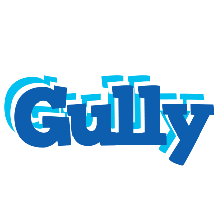 Gully business logo