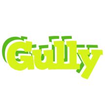 Gully citrus logo