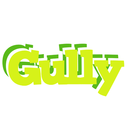 Gully citrus logo