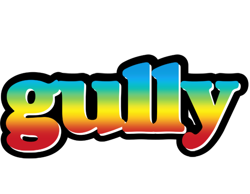 Gully color logo
