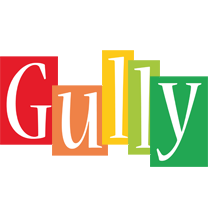 Gully colors logo