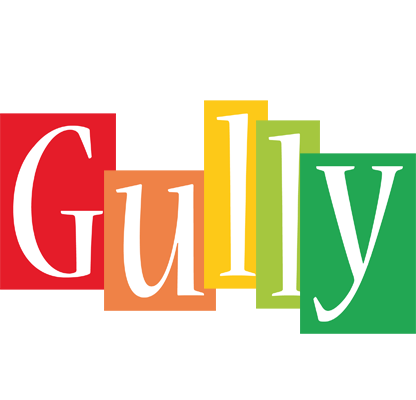 Gully colors logo