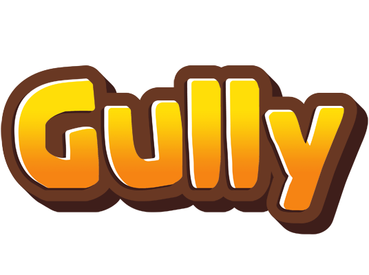 Gully cookies logo