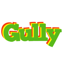 Gully crocodile logo