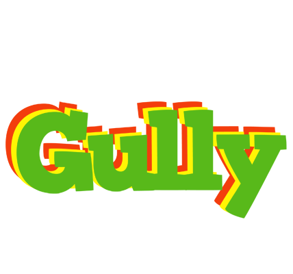 Gully crocodile logo