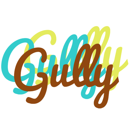 Gully cupcake logo