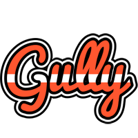 Gully denmark logo