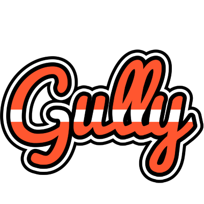 Gully denmark logo