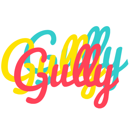 Gully disco logo