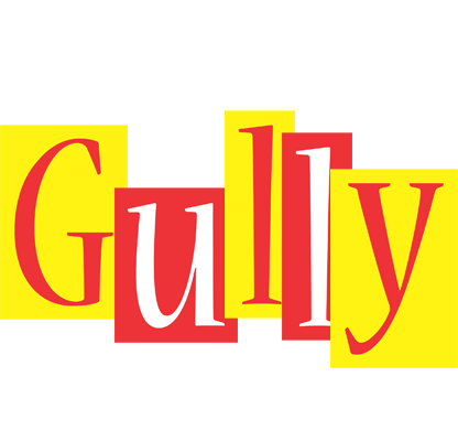 Gully errors logo
