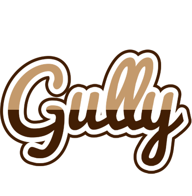 Gully exclusive logo