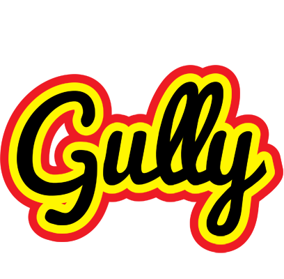 Gully flaming logo