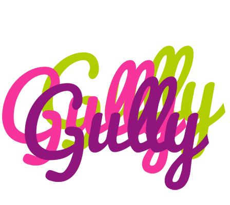 Gully flowers logo