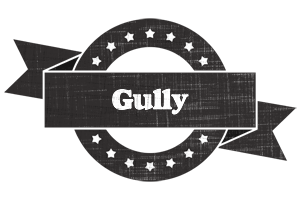 Gully grunge logo