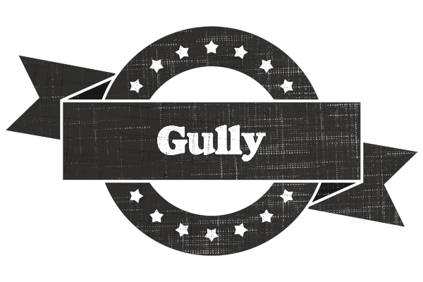 Gully grunge logo