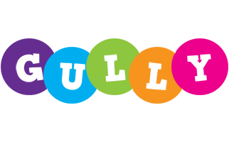 Gully happy logo