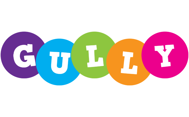 Gully happy logo
