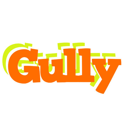 Gully healthy logo