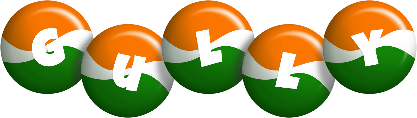 Gully india logo