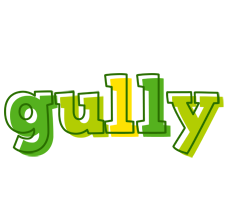 Gully juice logo