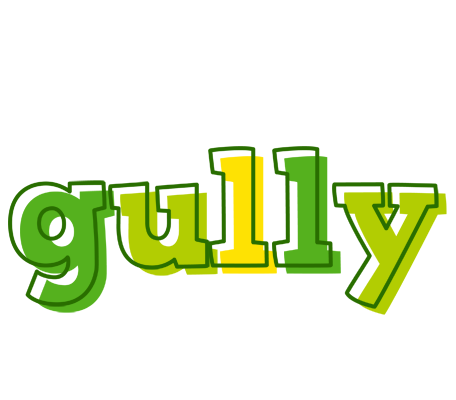 Gully juice logo