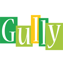 Gully lemonade logo