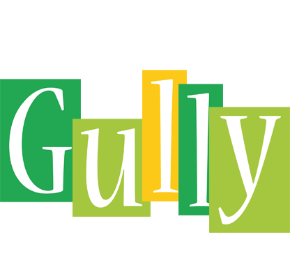 Gully lemonade logo