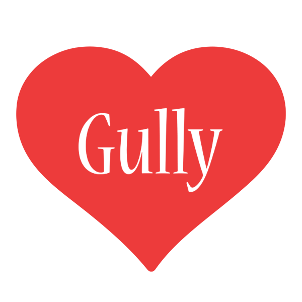 Gully love logo