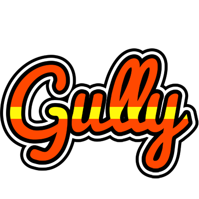 Gully madrid logo