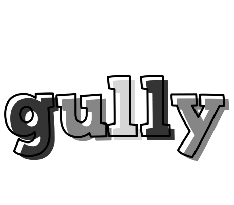 Gully night logo