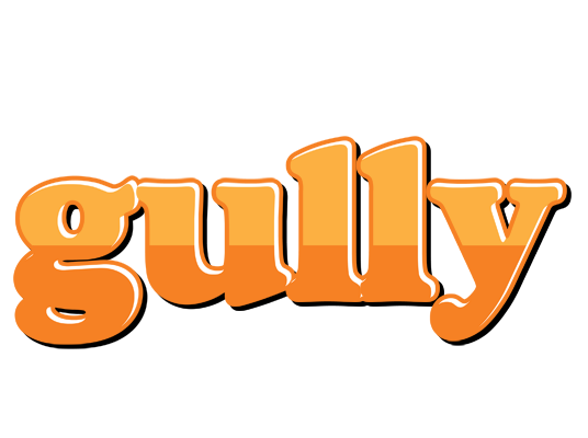 Gully orange logo