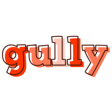 Gully paint logo